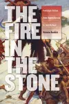 Fire in the Stone cover