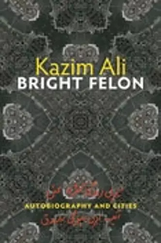 Bright Felon cover