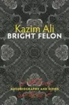 Bright Felon cover