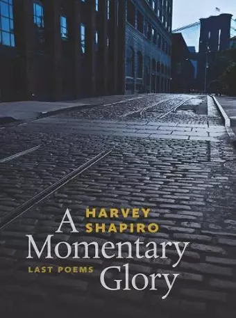 A Momentary Glory cover