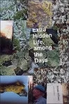 Extra Hidden Life, among the Days cover
