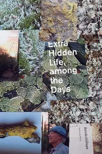 Extra Hidden Life, among the Days cover