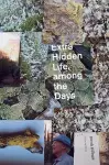 Extra Hidden Life, among the Days cover