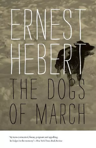 Dogs of March cover