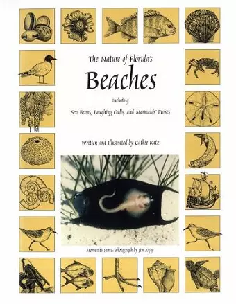 The Nature of Florida's Beaches cover