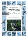 The Nature of Florida's Waterways cover