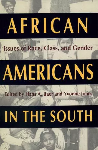 African Americans in the South cover