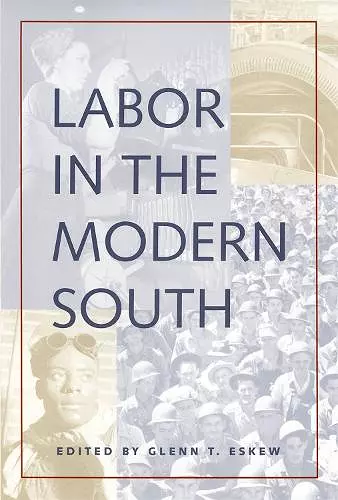 Labor in the Modern South cover