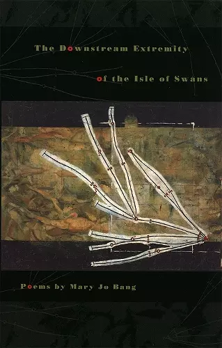 The Downstream Extremity of the Isle of Swans cover