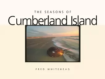 The Seasons of Cumberland Island cover