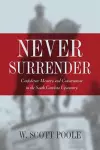 Never Surrender cover