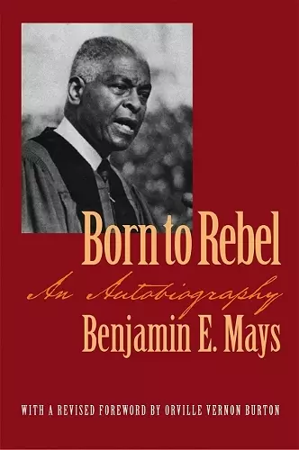 Born to Rebel cover