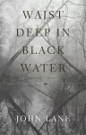 Waist Deep in Black Water cover