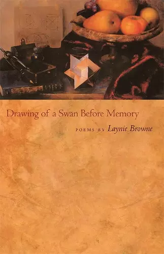 Drawing of a Swan Before Memory cover