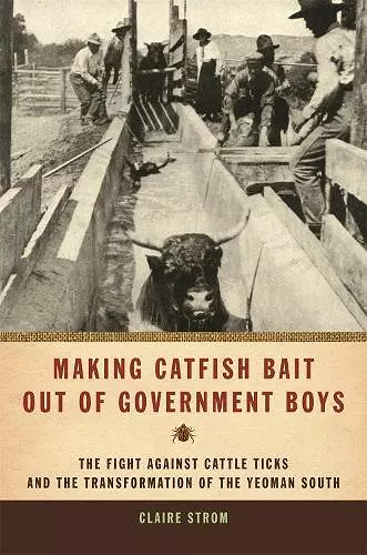 Making Catfish Bait Out of Government Boys cover