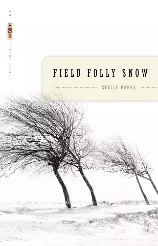 Field Folly Snow cover