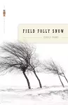 Field Folly Snow cover