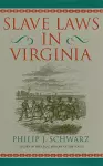 Slave Laws in Virginia cover
