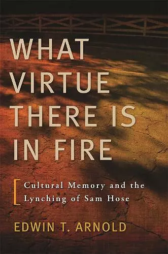 What Virtue There Is in Fire cover