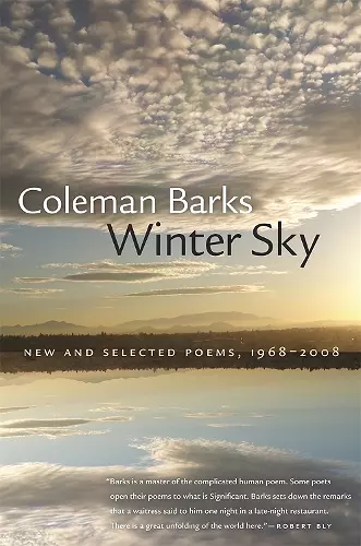 Winter Sky cover