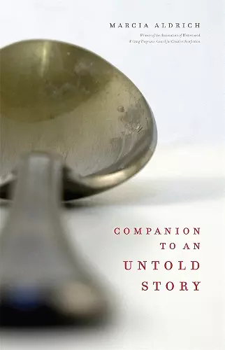 Companion to an Untold Story cover