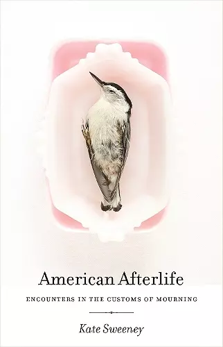 American Afterlife cover