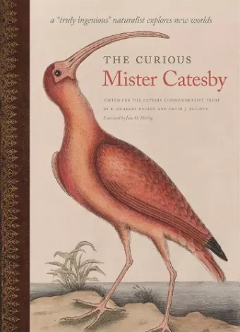 The Curious Mister Catesby cover