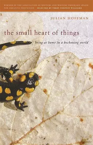 The Small Heart of Things cover