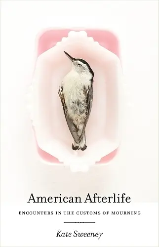 American Afterlife cover