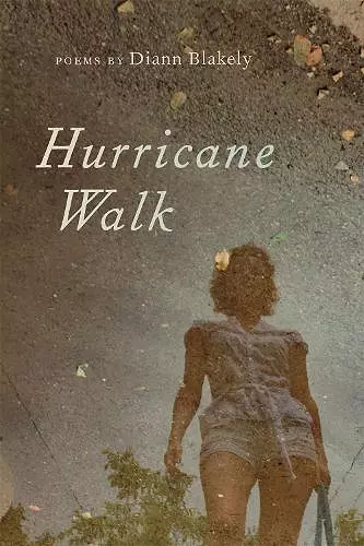 Hurricane Walk cover