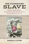 The Illustrated Slave cover