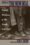 Before the New Deal cover
