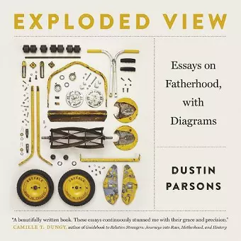 Exploded View cover