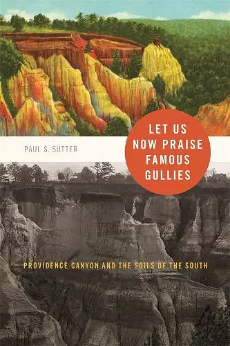 Let Us Now Praise Famous Gullies cover