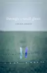 Through a Small Ghost cover