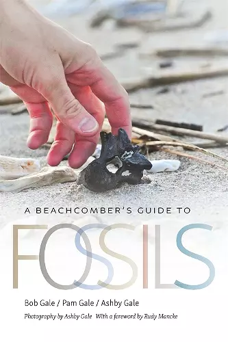 A Beachcomber's Guide to Fossils cover