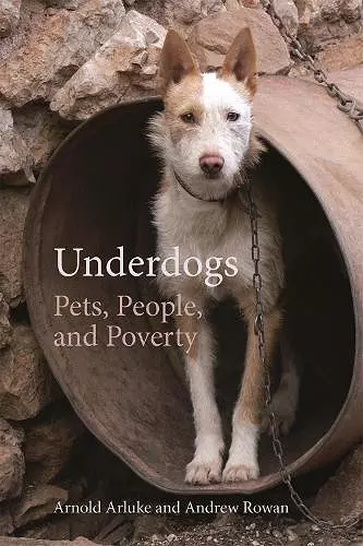 Underdogs cover