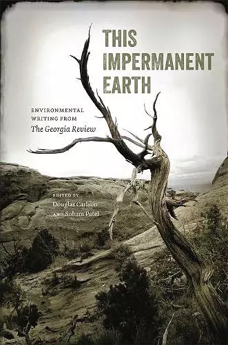 This Impermanent Earth cover