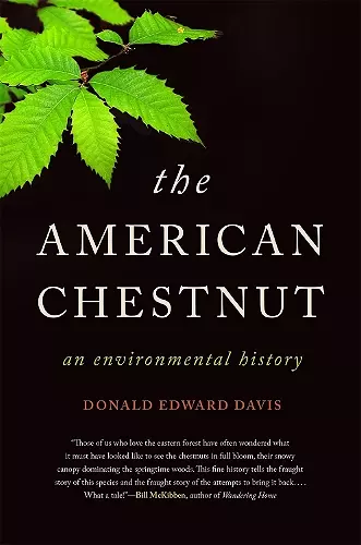 The American Chestnut cover