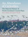 An Abundance of Curiosities cover