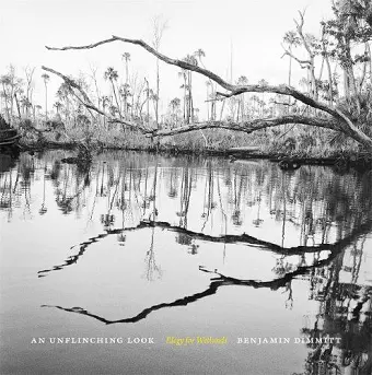 An Unflinching Look cover