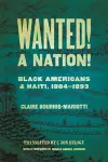 Wanted! A Nation! cover