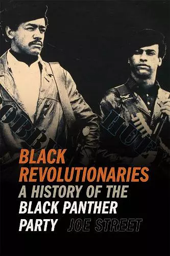 Black Revolutionaries cover