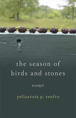 The Season of Birds and Stones cover