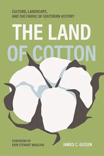 The Land of Cotton cover