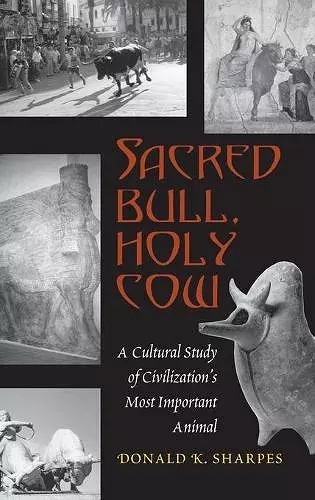 Sacred Bull, Holy Cow cover