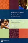Reproductive Health—The Missing Millennium Development Goal cover