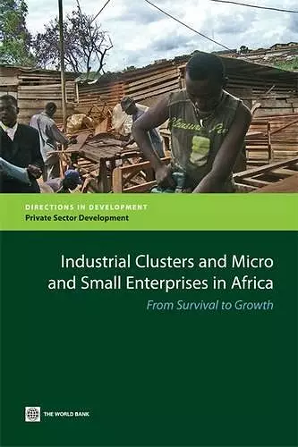 Industrial Clusters and Micro and Small Enterprises in Africa cover