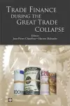 Trade Finance during the Great Trade Collapse cover