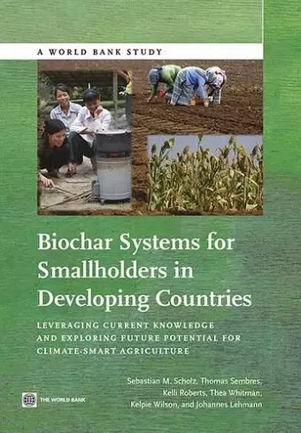 Biochar Systems for Smallholders in Developing Countries cover